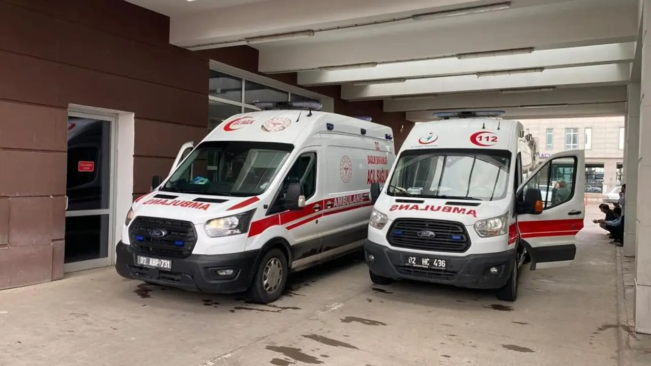 Okul bahçesinde akrep soktu: 9 yaşındaki çocuk hastanelik oldu