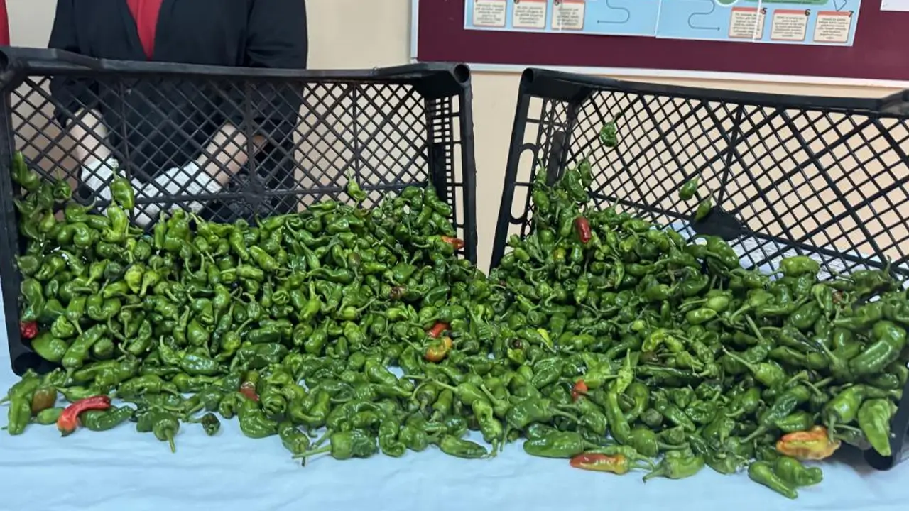 Çermik’in tescilli biberiyle 41 farklı tarif geliştirdiler