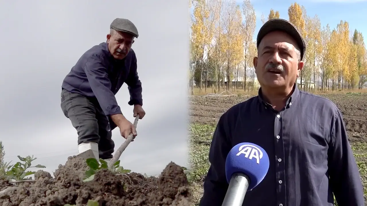 Esnaflığı bıraktı safrana başladı: Kilosu 900 bin TL