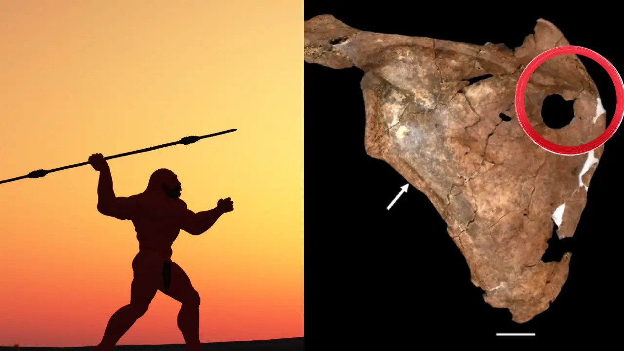 Av kazası mı, cinayet mi? Zagros’ta Neandertal kalıntısında mızrak yarası