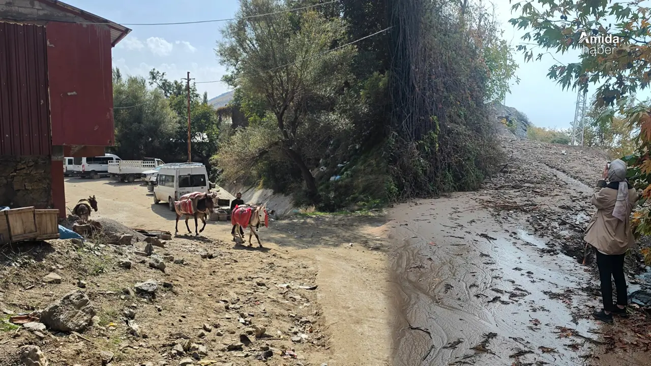Diyarbakır’da yol çilesi: Eşekler olmazsa hayat yok!