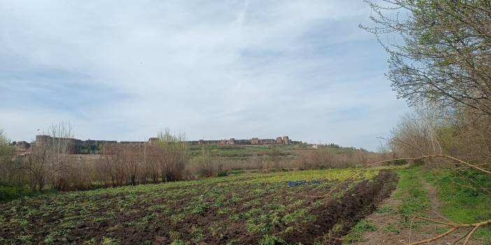 Maliyetler arttı, UNESCO listesindeki Hevsel’de verim düştü