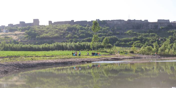 Diyarbakır Büyükşehir’den ‘Biyo Çeşitlilik Günü’ etkinliği: Çöpler temizlendi, uyarılar yapıldı