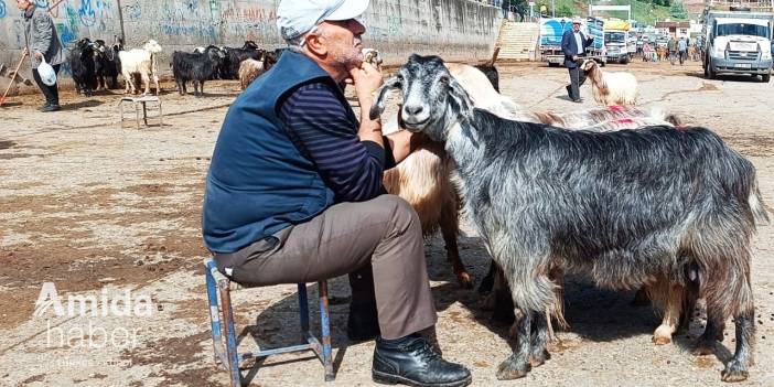 Uzman’ından Kurban Bayramı uyarısı: Kahvaltılık yiyin!