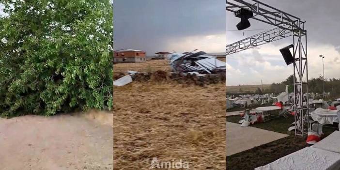 Diyarbakır’da fırtınada devrilen ağaç piknik alanını savaş alanına çevirdi
