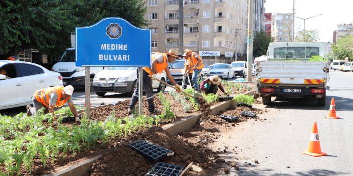 Diyarbakır Medine Bulvarı'na 10 bin 200 çiçek ekildi