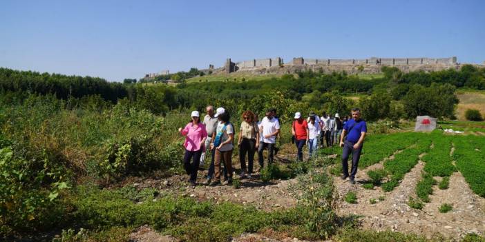 Diyarbakır Büyükşehir’den Hevsel için Mobil Denetim hamlesi