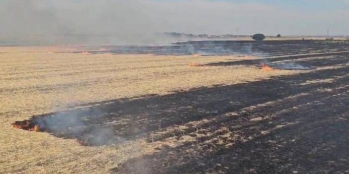 Diyarbakır’da anız yangını: 1 kişi etkilendi