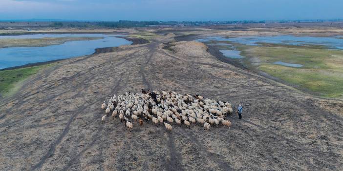 Dicle Nehri'nde kuraklığın etkisi görüntülendi