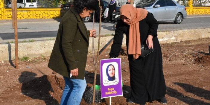 Van'da ölen Diyarbakırlı Rojin Kabaiş'in annesi: Kızım intihar etmedi