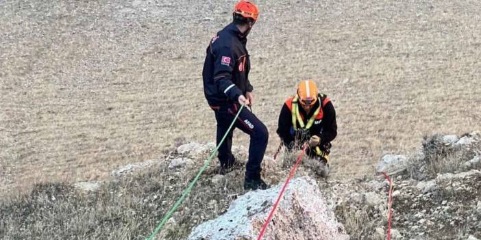 Muş’ta mahsur kalan keçilerin yardımına AFAD ekibi yetişti