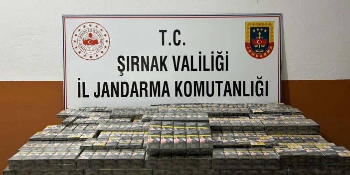 Şırnak'ta kaçakçılık operasyonu: 7 kişi tutuklandı