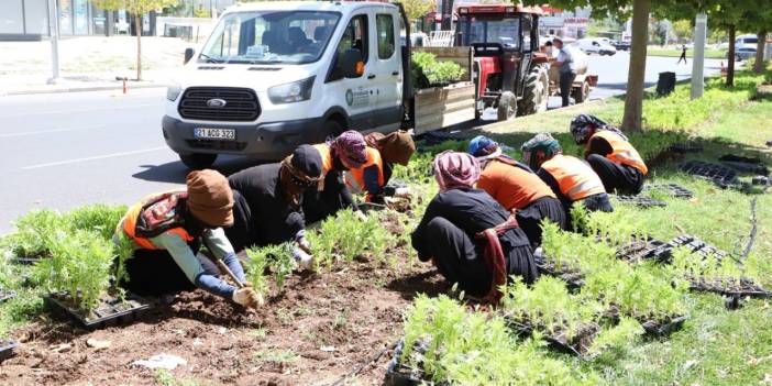 Diyarbakır’da 1 milyonun üzerinde çiçek ekildi