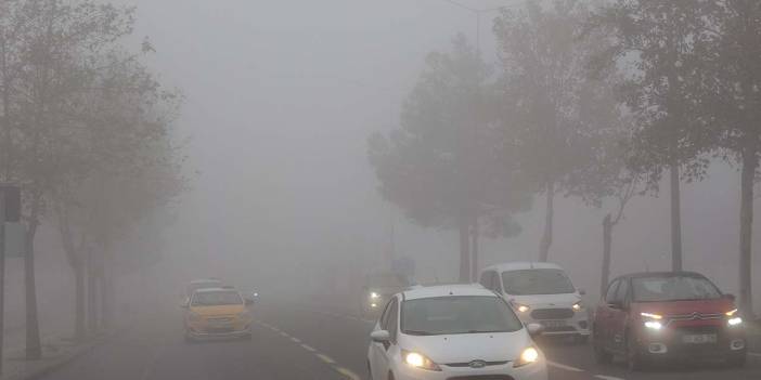 Diyarbakır'da kara ve hava ulaşımı sis engeline takıldı