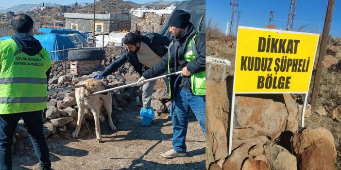 Diyarbakır’ın komşu ilçesinde kuduz alarmı: Köy karantinaya alındı