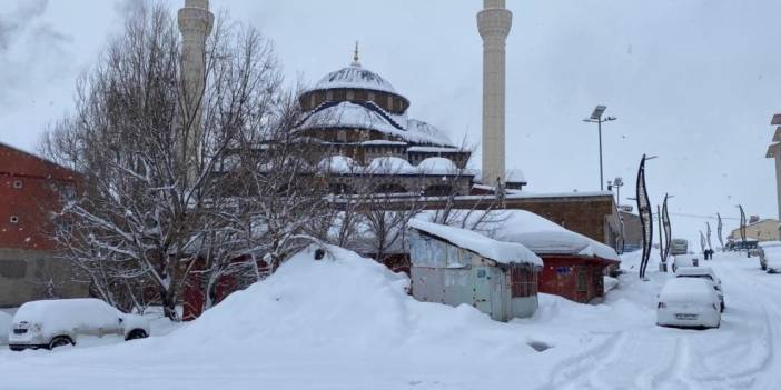 Bingöl’ün ilçesi Mart ayında kara teslim oldu