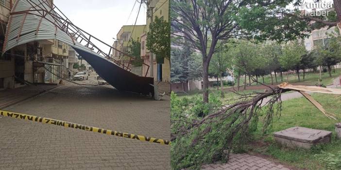 Diyarbakır esti gürledi: Çatılar uçtu, ağaçlar devrildi
