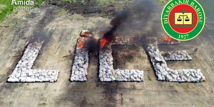 Diyarbakır Barosu Lice’deki yakma için suç duyurusunda bulundu