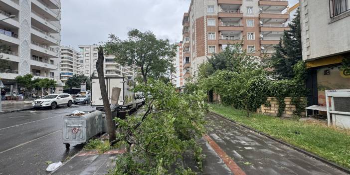 Diyarbakır’daki siteler diken üstünde: Yönetim uyardı