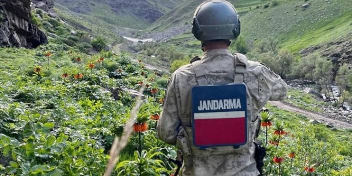 Hakkari'de jandarma ters lale nöbetinde