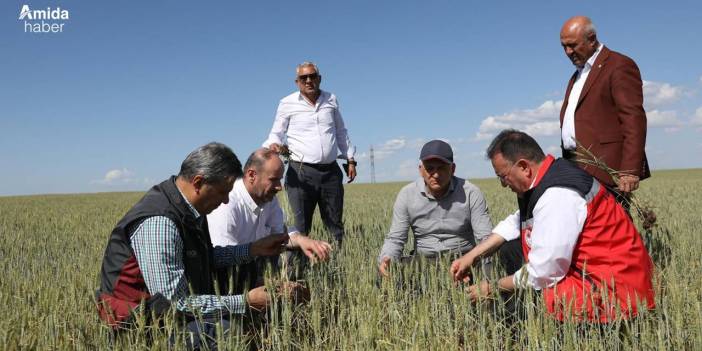 Diyarbakır’da kuraklık alarmı: Acil destek çağrısı yapıldı
