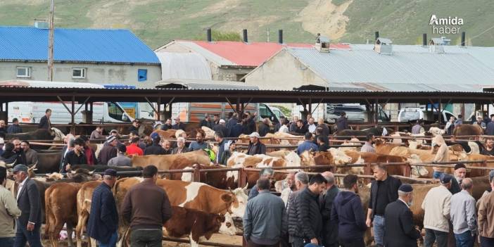 Erzurum’da kurbanlıklar görücüye çıktı