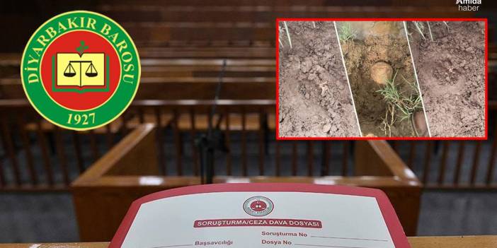 Diyarbakır’daki 'insan kemikleri' için soruşturma başlatıldı