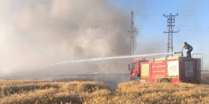 Mardin'de 155 dönüm ekili buğday yandı