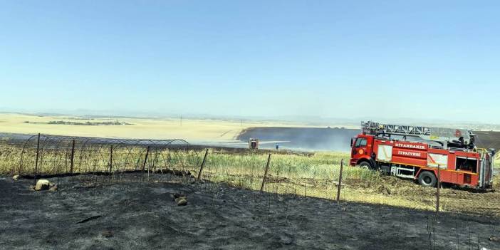 Diyarbakır’daki tarla yangınında büyük zarar: Buğday ve arpa kül oldu