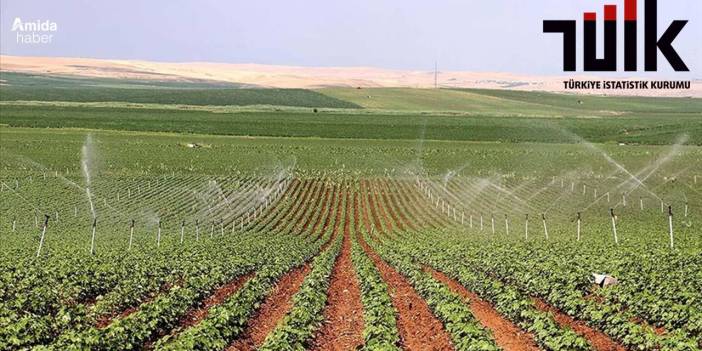 Diyarbakır ve Şanlıurfa tarım sayımı için TÜİK'le protokol imzaladı