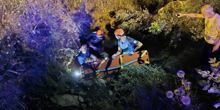 Bingöl'de araç yoldan çıkarak takla attı: 2 yaralı