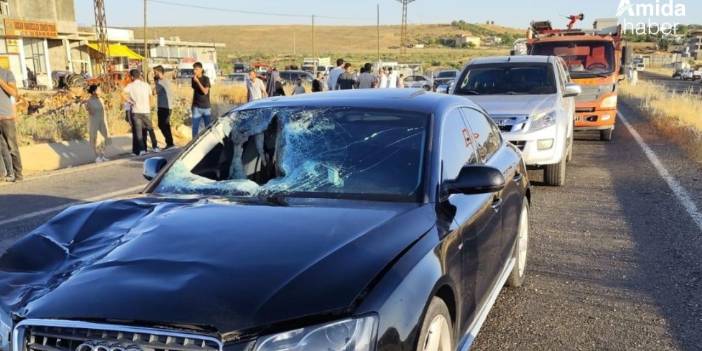 Diyarbakır-Bingöl karayolunda kaza: 1 ölü, 1 yaralı