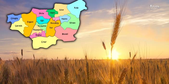 Diyarbakır’ın 4 ilçesi kurudu: Verim kaybı yüzde 90