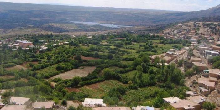 Diyarbakır’da 14 yaşındaki kız kardeş katili tutuklandı