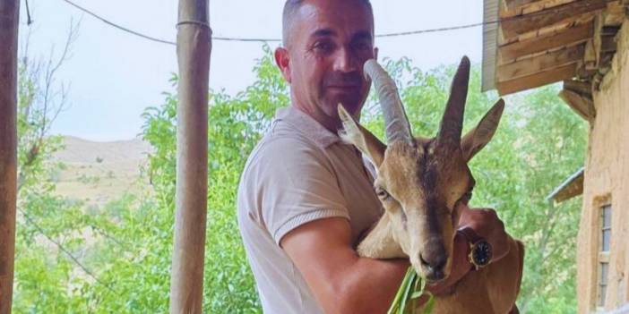 Bitkin haldeki dağ keçisine köylüler sahip çıktı