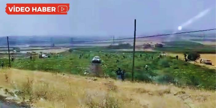 Mardin’de bedava sanıp talan ettiler: Çiftçi şokta