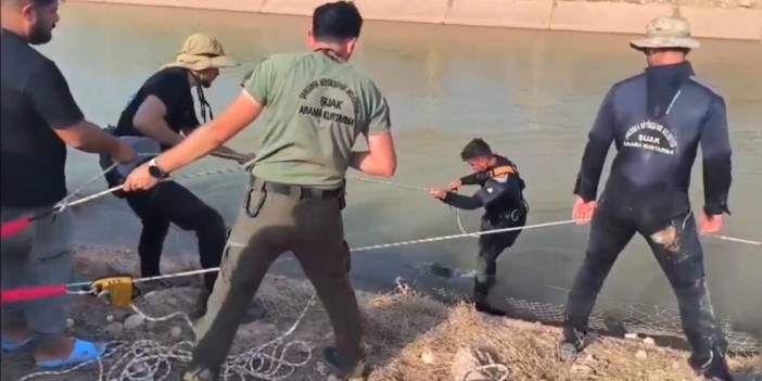 Şanlıurfa'da otomobil sulama kanalına düştü