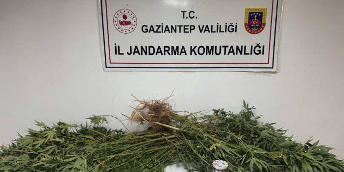 Gaziantep'te uyuşturucu operasyonu