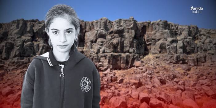 Mardin bu olayı konuşuyor: Düştü mü düşürüldü mü?