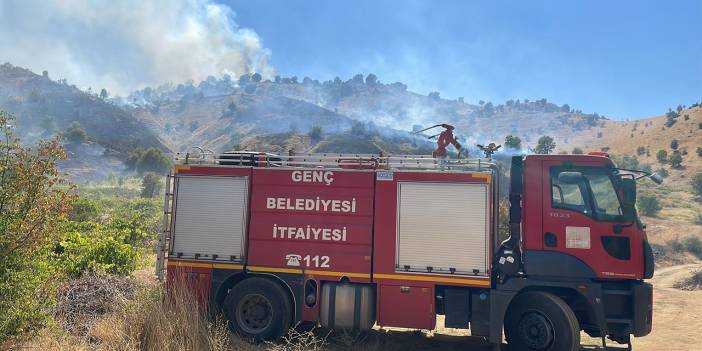 Bingöl'de orman yangını: Müdahale sürüyor