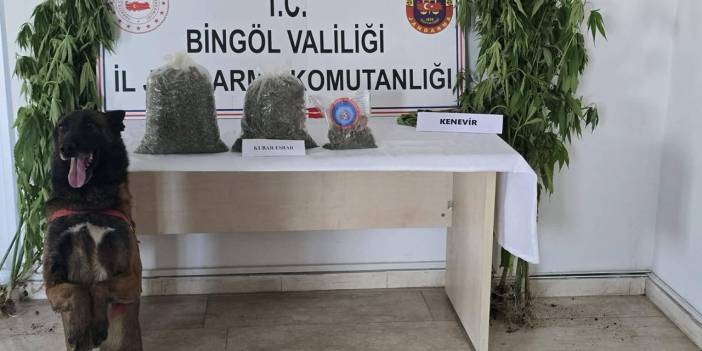 Bingöl’de uyuşturucu operasyonu