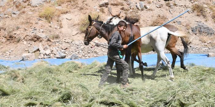 Şırnak’ta katırlarla kışa hazırlık