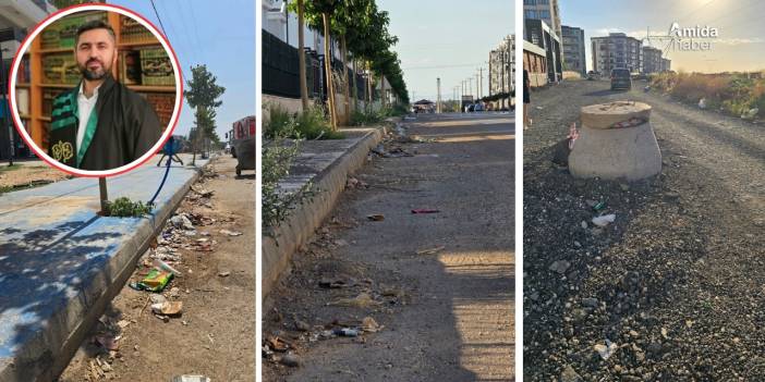 Diyarbakırlı akademisyen kirliliği fotoğrafladı: Temizleyin!