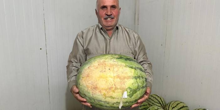 Diyarbakır karpuzları korumaya alındı