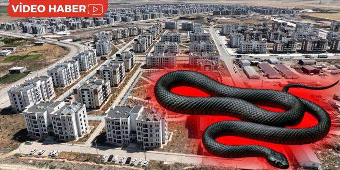 Diyarbakır'da korku dolu anlar: Çocuk odasına yılan girdi