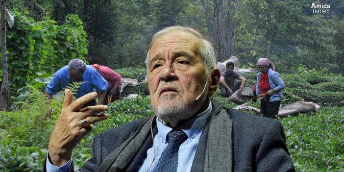 İlber Ortaylı, Kürtlerden sonra Lazlara da taktı!