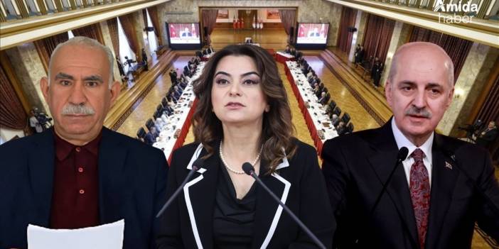 DEM Parti’den komisyona mesaj: Öcalan devreye girmeli
