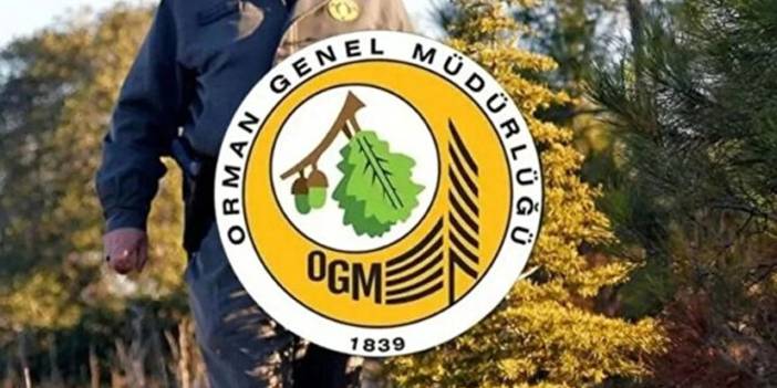 Orman Genel Müdürlüğü işçi alımı şartları açıklandı