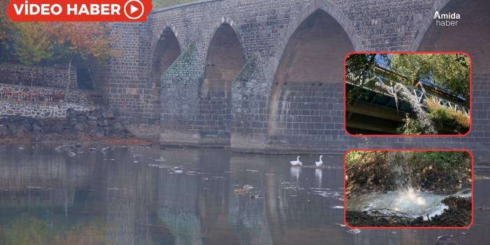 Dicle Nehri’ne 7 aydır zehir akıyor