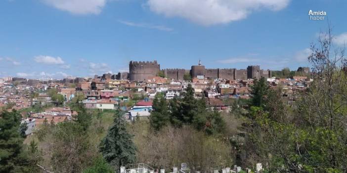 Diyarbakır’da fiyatını duyan ona koşuyor